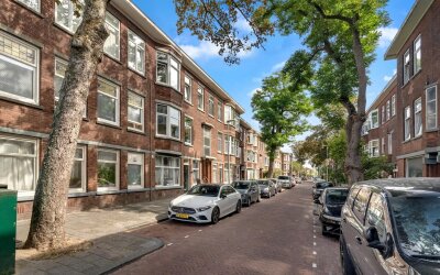 Velpsestraat 205