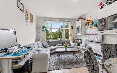 Zuiderparklaan 311