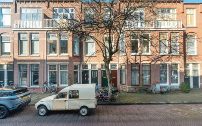Van Loostraat 115