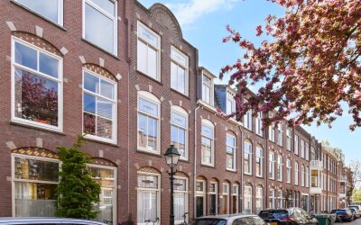 Van Loostraat 116
