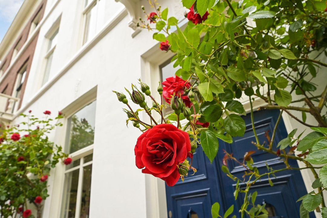 Tussenwoning te koop: Celebesstraat 81, 'S-Gravenhage