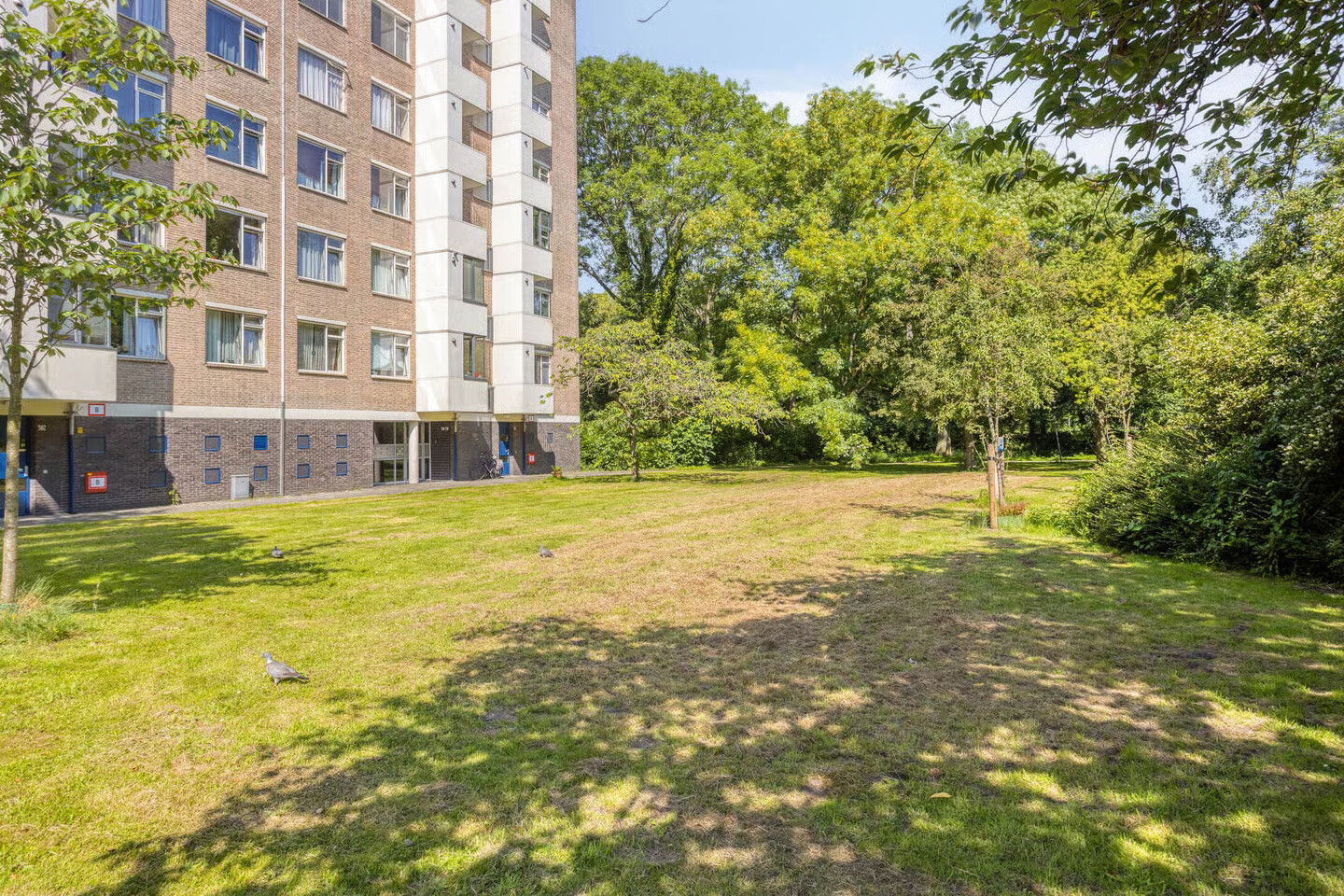 Appartement te koop: Vlaskamp 486, 'S-Gravenhage