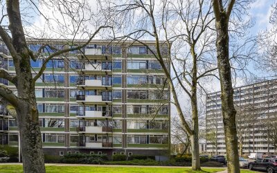 Haverkamp 405