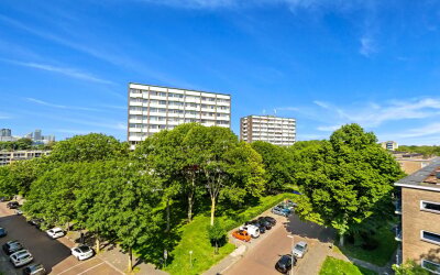 Haverkamp 415