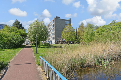 Barnsteenhorst 386