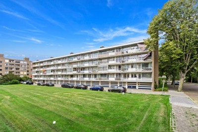 Saffierhorst 254
