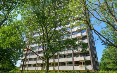 Roggekamp 369