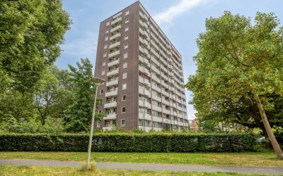 Roggekamp 561