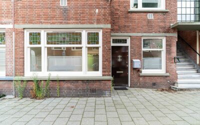Stuyvesants. 331