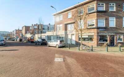 Stuyvesants. 12
