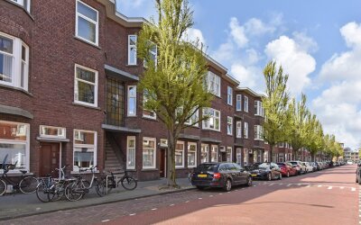 Stuyvesants. 232