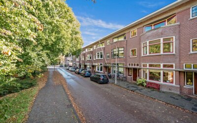 't Hoenstraat 19