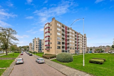 Van Alkemadelaan 1026