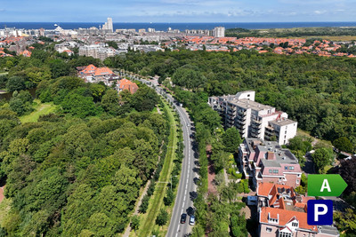 Nieuwe Park. 79-E