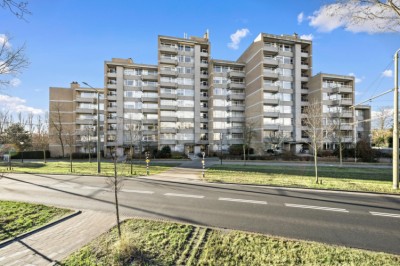 Nieuwe Park. 8