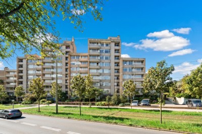 Nieuwe Park. 38
