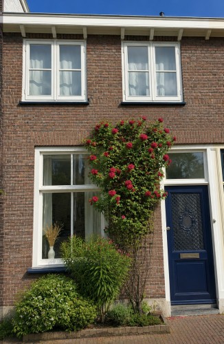 Dirklangenstraat 30
