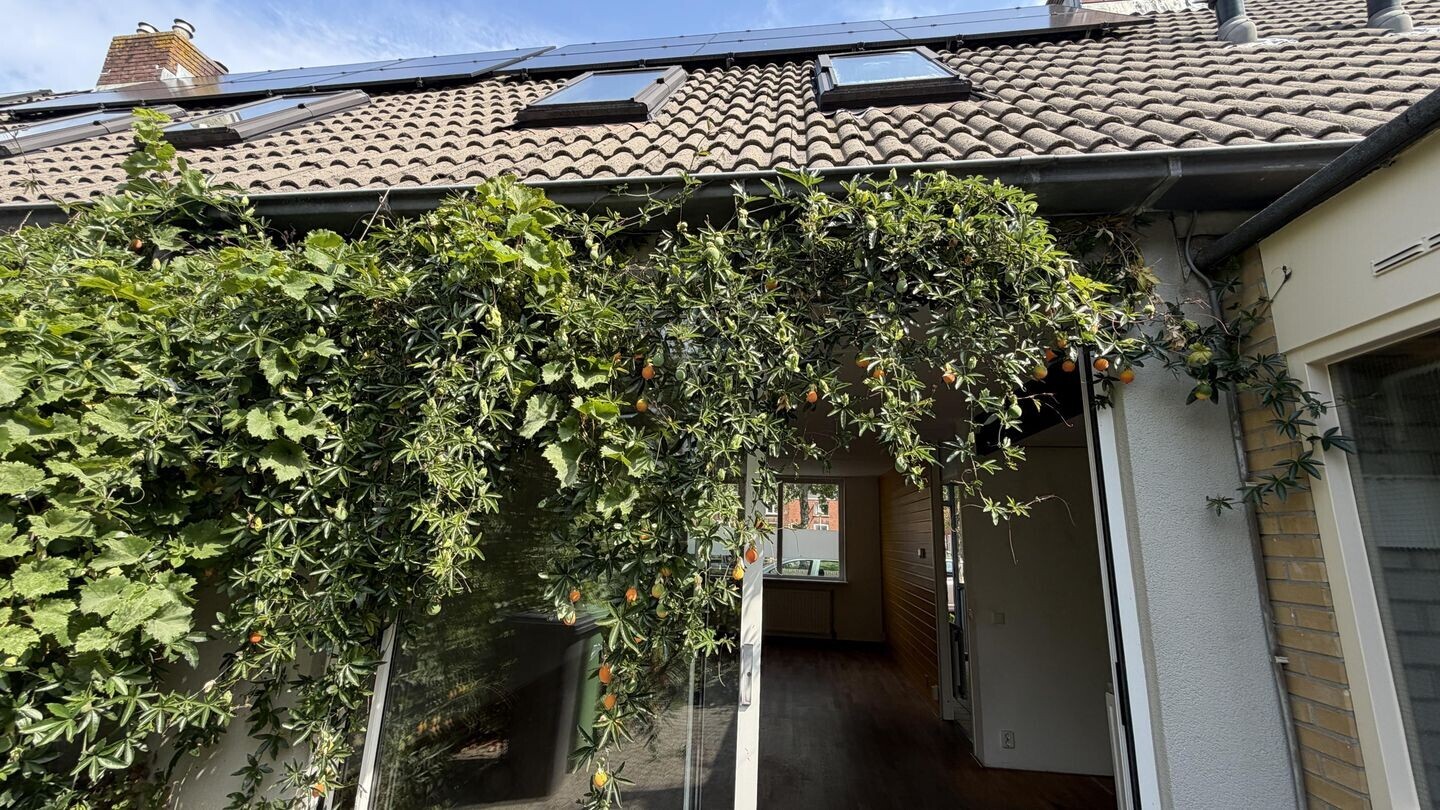 Tussenwoning te koop: Carthuyzerstraat 27, Delft