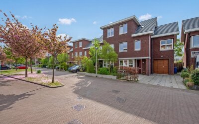 Druivenmuur 37