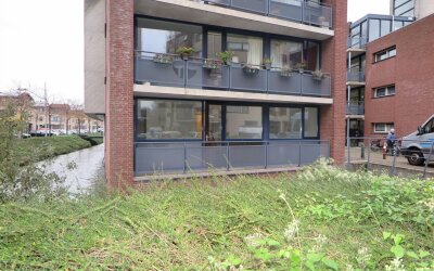 Hof van Spi. 1