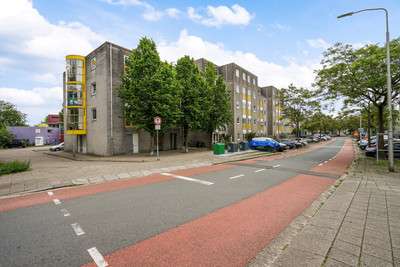Derde Werel. 113
