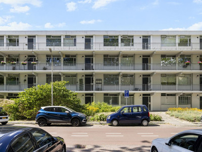 Pijperring 176
