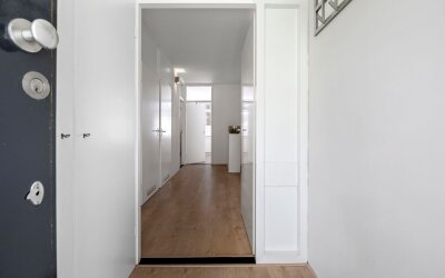 Pijperring 176