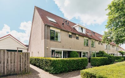 Kievitsbloem 42