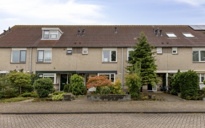 Gentiaan 12