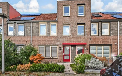Kievitsbloem 21