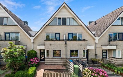Dotterbloem 29