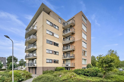 Zwanebloem 4