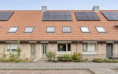 Boekweitakker 10