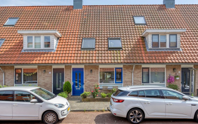 Boekweitakker 7