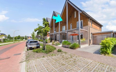 Aalscholver 8