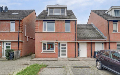 Anthuriumsingel 63