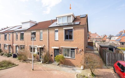 Ooievaar 11