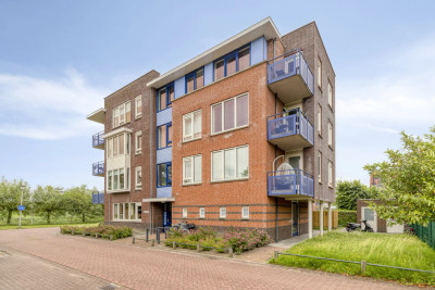 Belcampostraat 55