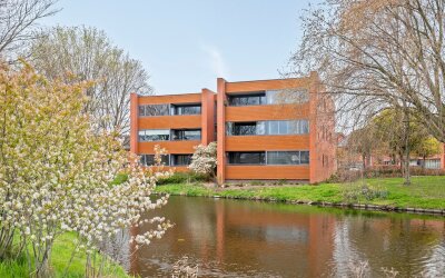 Struisvaren 12