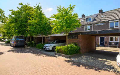 Vuurdoorn 41
