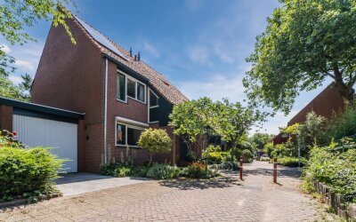 Boterbloem 36