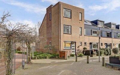 Zilvermeeuw 18