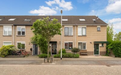 Schelfhout 12