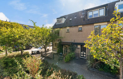 Schelfhout 42