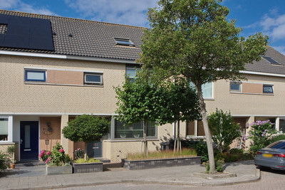 Reiger 59