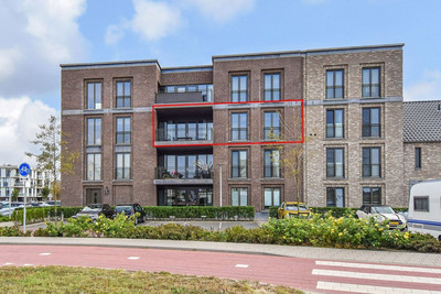 Hermelijn 11