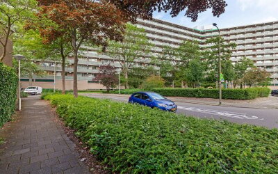 Stadhouders. 602