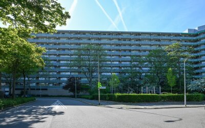 Stadhouders. 736