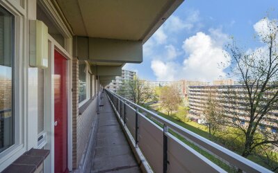 Dunantstraat 993