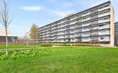 Dunantstraat 100